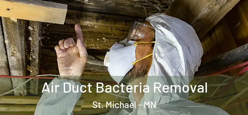  Air Duct Bacteria Removal St. Michael - MN