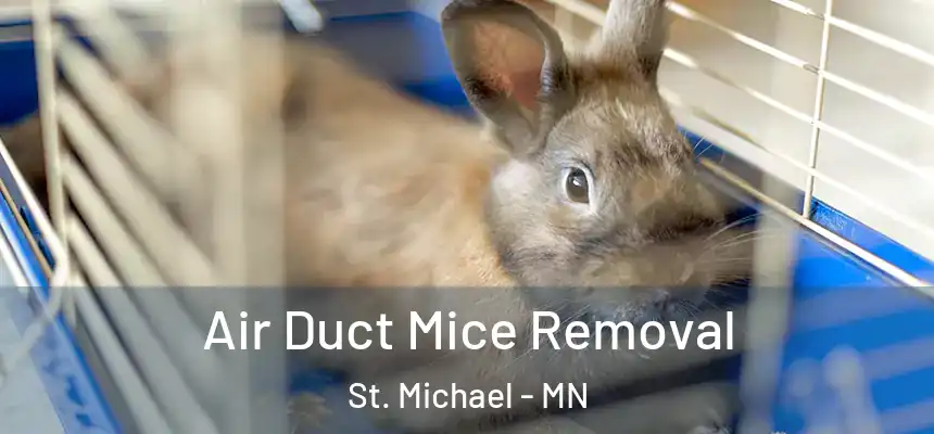  Air Duct Mice Removal St. Michael - MN
