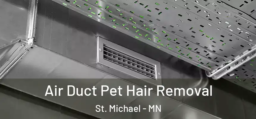  Air Duct Pet Hair Removal St. Michael - MN