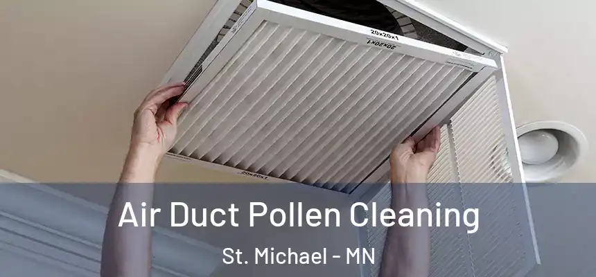  Air Duct Pollen Cleaning St. Michael - MN