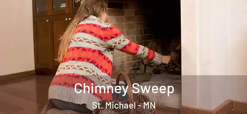  Chimney Sweep St. Michael - MN