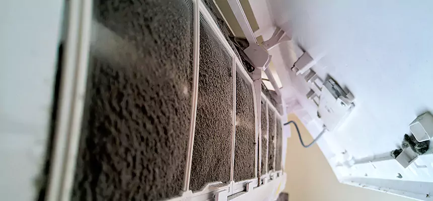 Preventive Air Duct Bacteria Removal in St. Michael