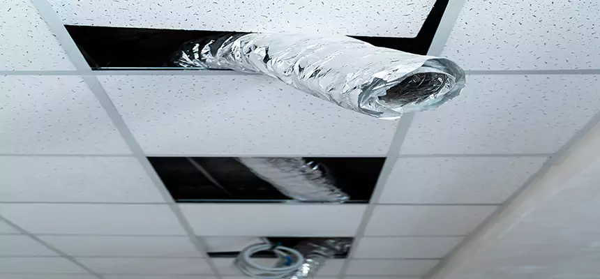 Our Air Duct Pet Hair Removal Services in St. Michael, MN