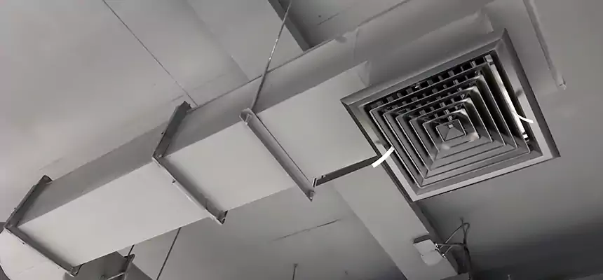 Our Pest Removal From Ducts Services in St. Michael, MN