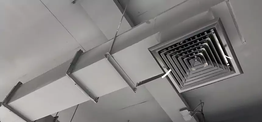 Our Rodent Droppings In Vents Services in St. Michael, MN