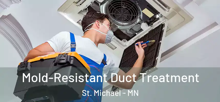  Mold-Resistant Duct Treatment St. Michael - MN