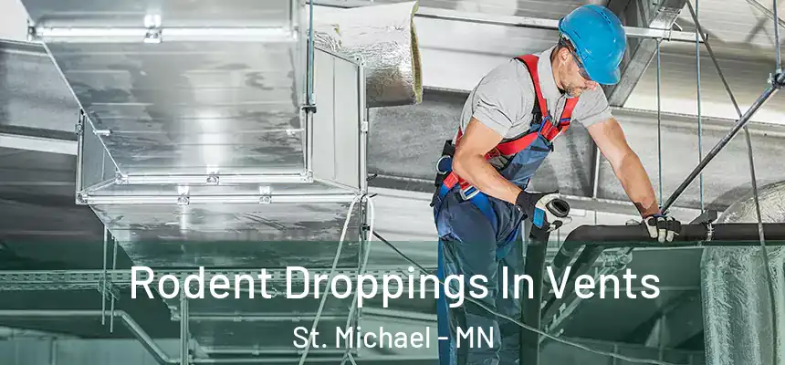  Rodent Droppings In Vents St. Michael - MN