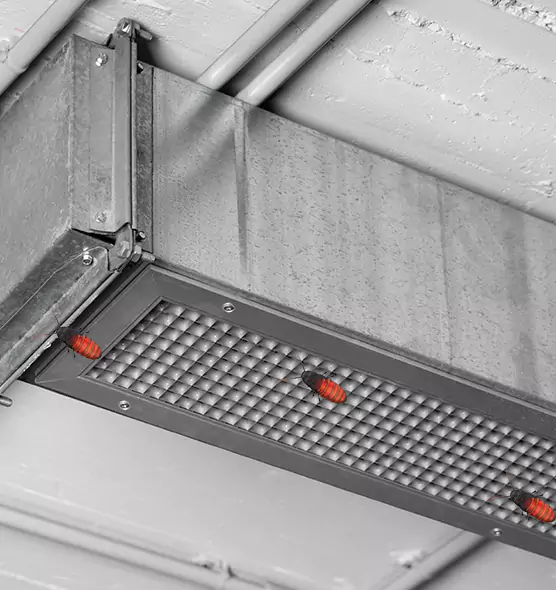 About Air Duct Cockroach Removal in St. Michael, MN