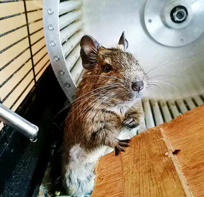 Why Homeowners & Businesses Trust Us St. Michael, MN