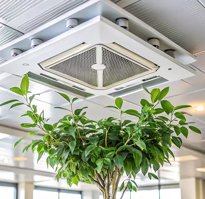 Why Homeowners & Businesses Trust Us in St. Michael, MN