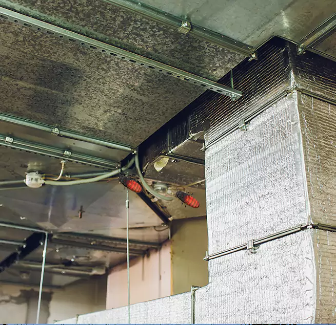 Why Homeowners & Businesses Trust Us St. Michael, MN?